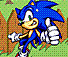 Sonic in the Garden